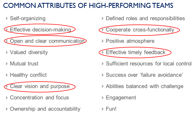 Common attributes of high performing teams